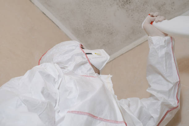 Best Mold Removal Company Near Me  in Aledo, TX