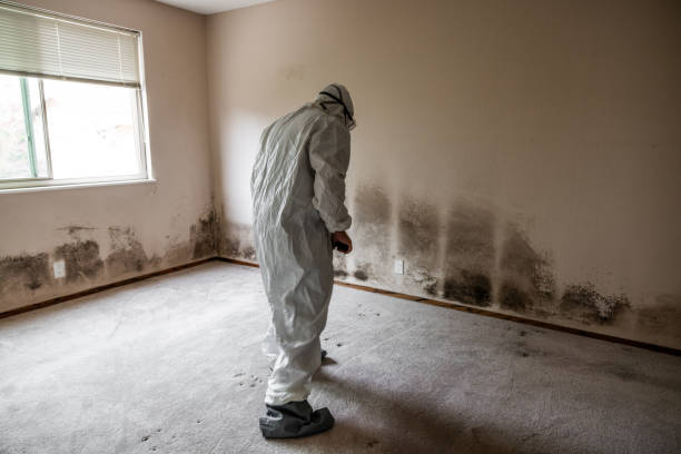 Crawl Space Mold Removal in Aledo, TX
