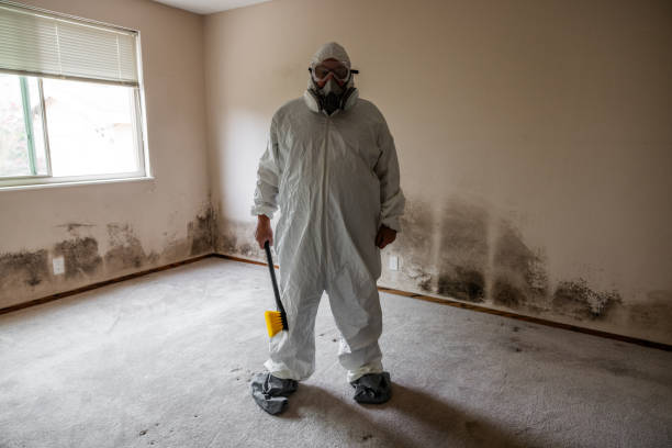 Best Emergency Mold Removal  in Aledo, TX